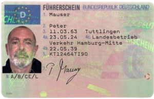 Driver's license